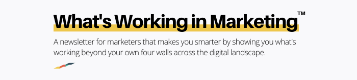 newsletter_header (4)